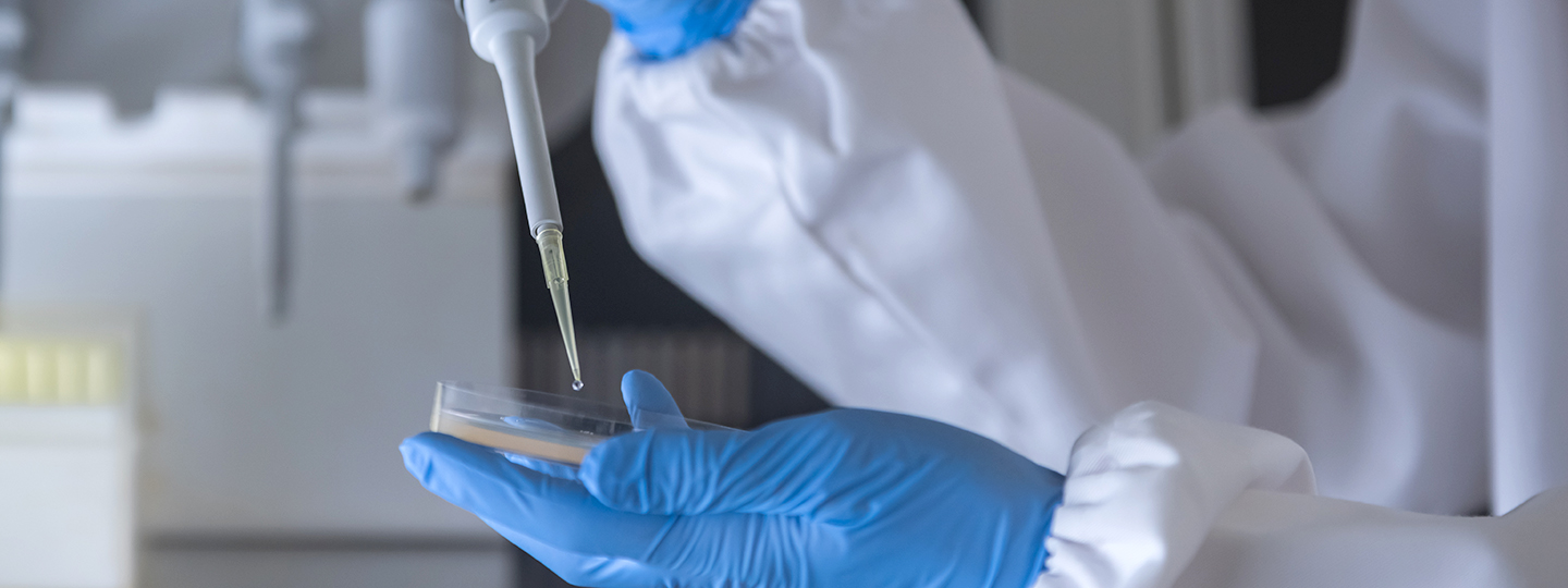 廂式壓濾機的結(jié)構(gòu)組成